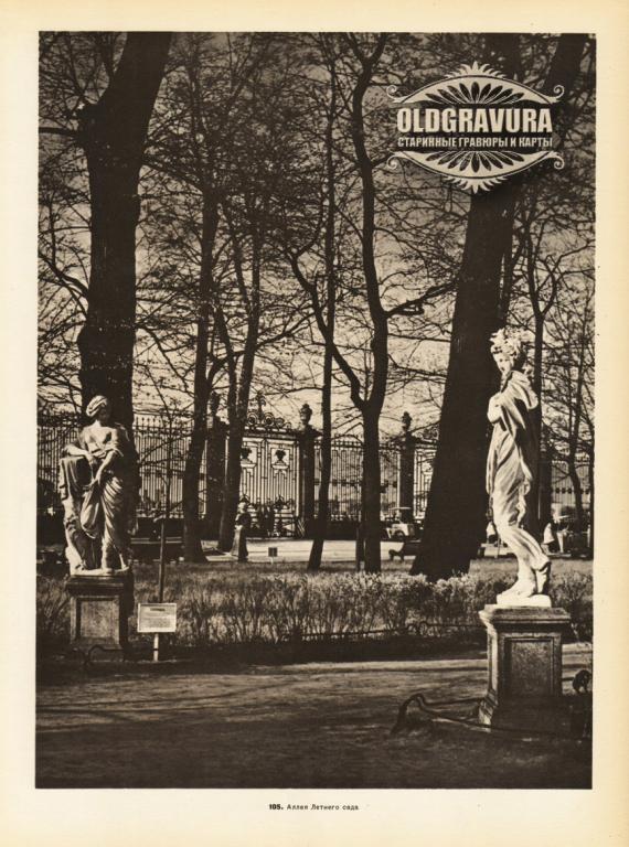 1957 год. Аллея Летнего сада, фототипия S24105