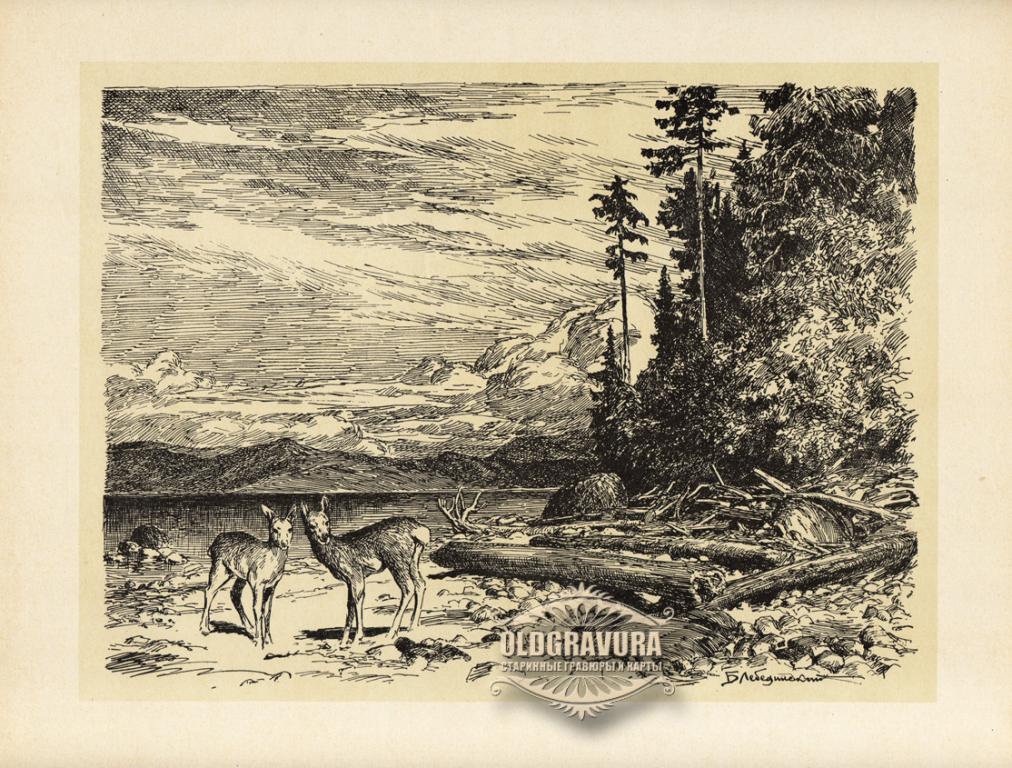 1966 год. Байкал. В бухте Томпуда. Б.И.Лебединский S22876A