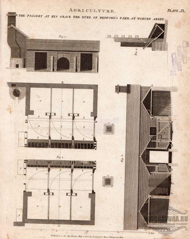 1803 год. Антикварная энциклопедическая гравюра S12037