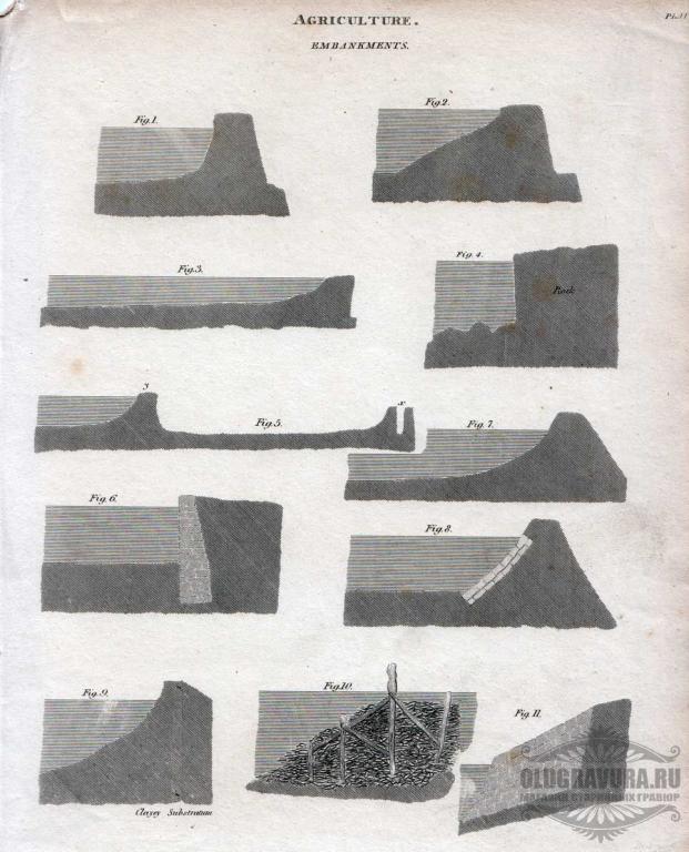 1800-е гг. Антикварная энциклопедическая гравюра S12051