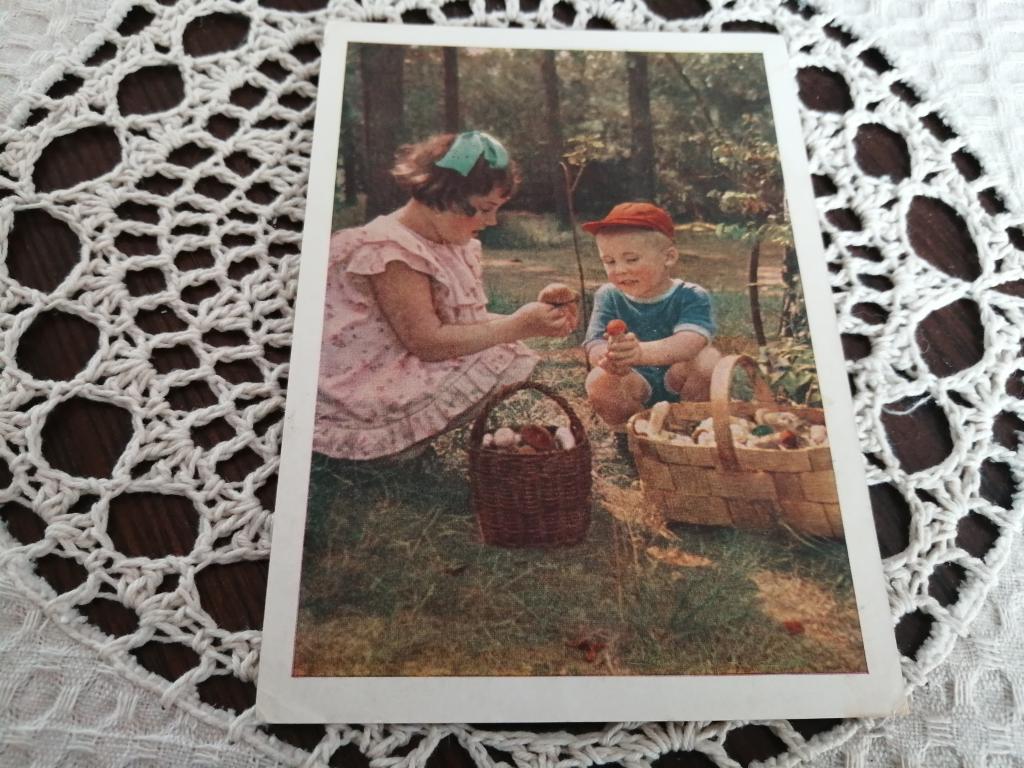 Дети. Грибники.  Фото А.И. Становова, 1957 г.