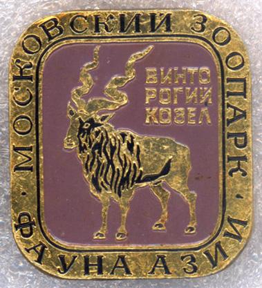 Московский зоопарк * Фауна Азии * Винторогий козёл * ЭТПК