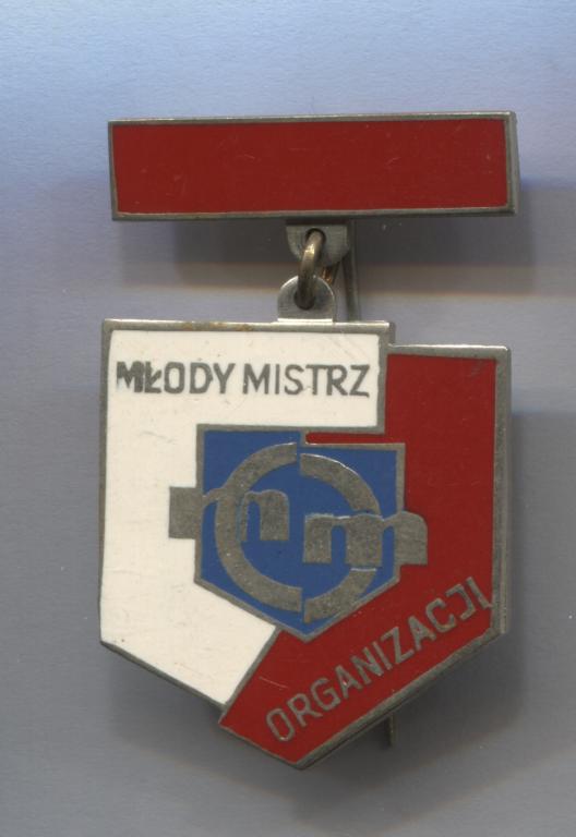 Польша комсомол Молодой мастер организации Mlody mistrz organizacji редкий