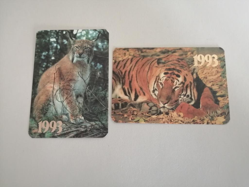 ! Календари. Рысь и Уссурийский тигр. Фото Г.Смирнова, 1993 г.