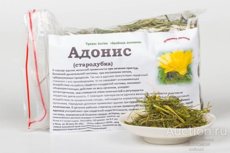 Купить Адонис Весенний Саженец