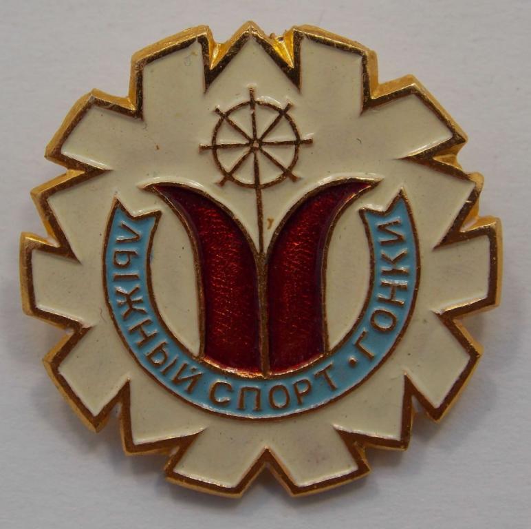 Значок Лыжный спорт. Гонки (018850)