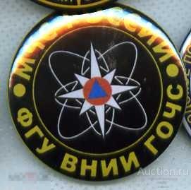МЧС России  ФГУ ВНИИ ГОЧС 