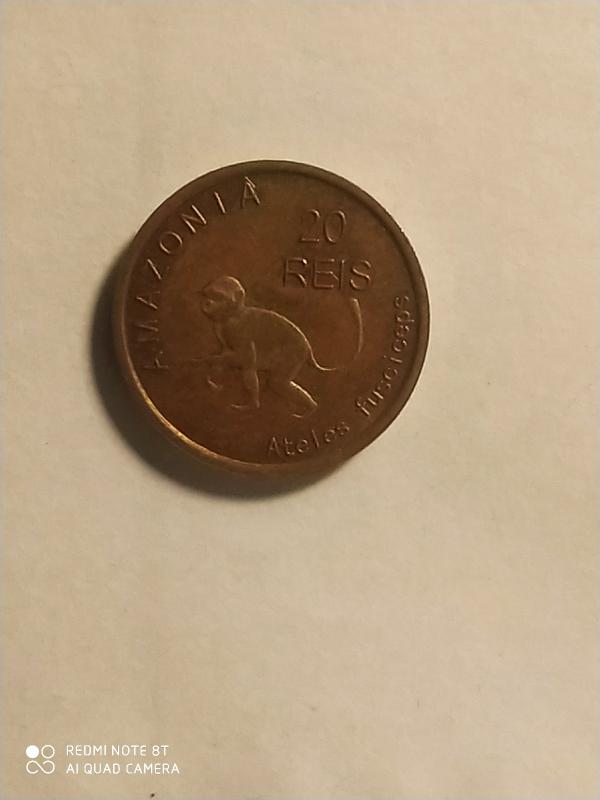 Бразилия. Амазония. 20 рейс. 2012 год. Медь. 16 мм.