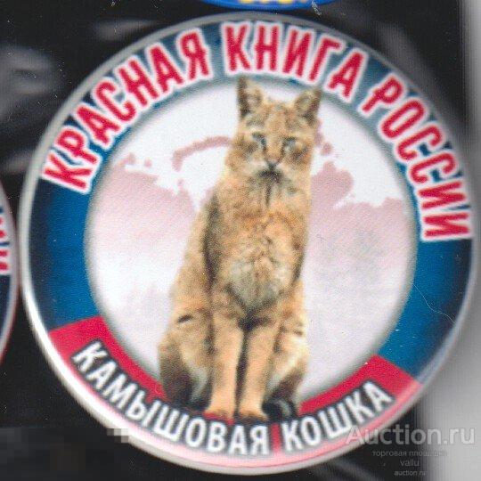 Красная Книга России, камышовая кошка 