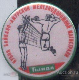 БАМ, кубок Байкало-Амурской Магистрали по волейболу, Тында 