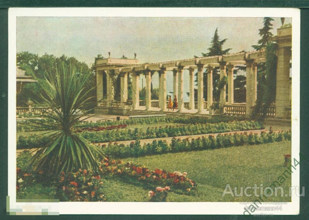 Никитский Ботанический Сад Мирт Купить