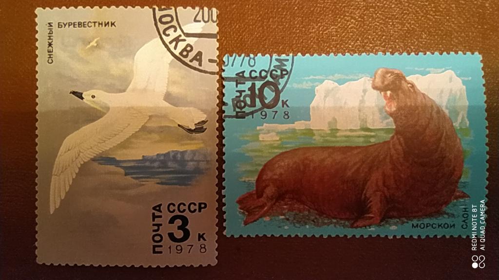 Марки СССР, 1978, Фауна Антарктиды: Снежный буревестник, Морской слон