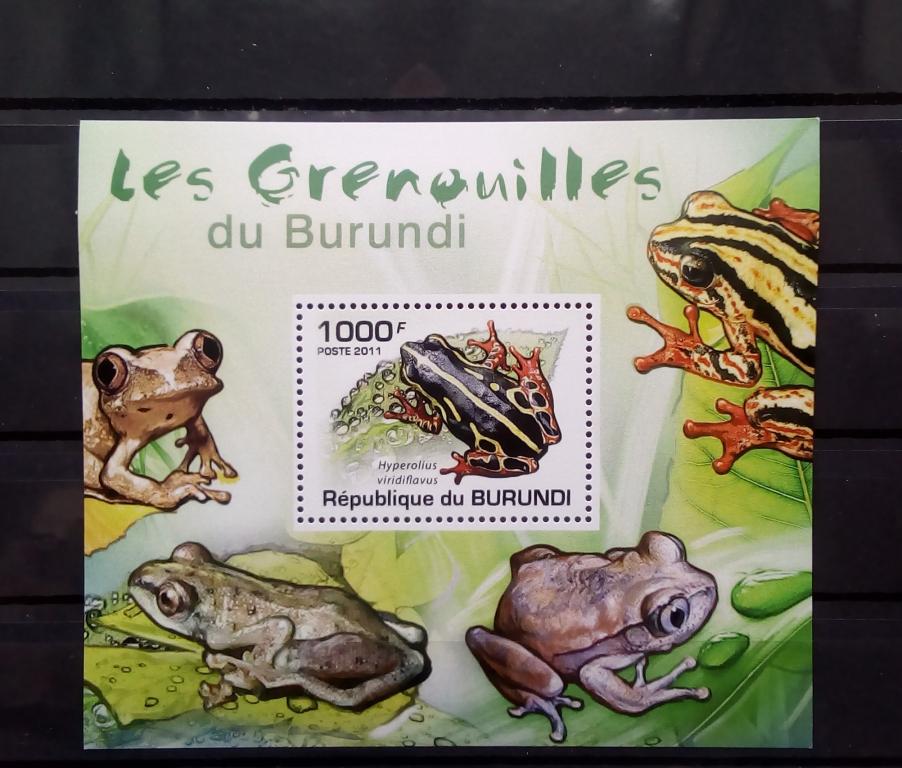 Бурунди 2011. Фауна лягушки земноводные. MNH**