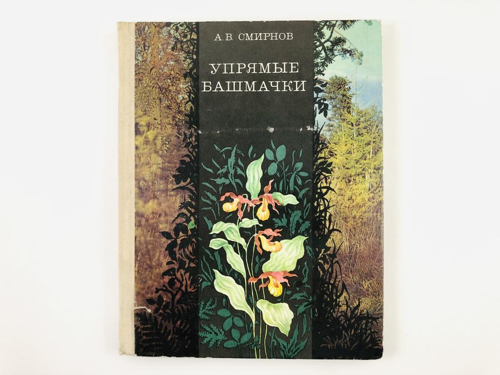 Научно художественная литература. Упрямые башмачки книга. Страница художников литературы.
