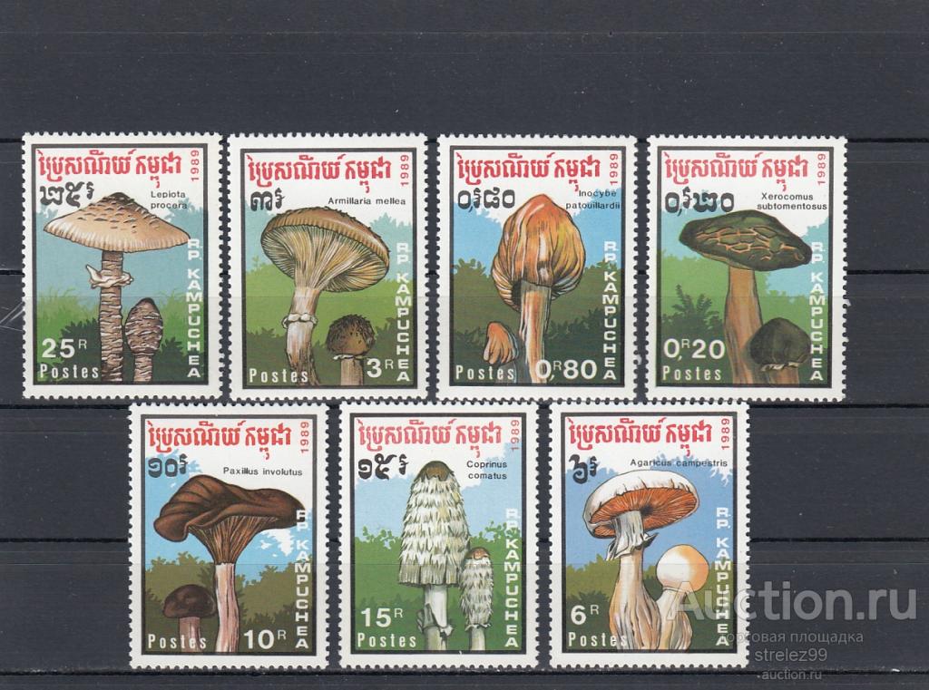 KAMPUCHEA  КАМПУЧИЯ  Флора Грибы Серия  1989   7 Евро Сост**  MNH