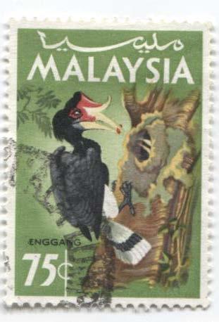 1965.Малайзия.Птицы.Птица носорог у гнезда.75с.гаш