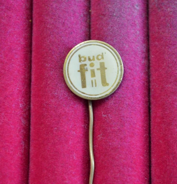 BUD FIT IL ФИТНЕС ЧЕХОСЛОВАКИЯ   ИНОСТРАННЫЙ ЗНАЧОК ЛИСТ №11