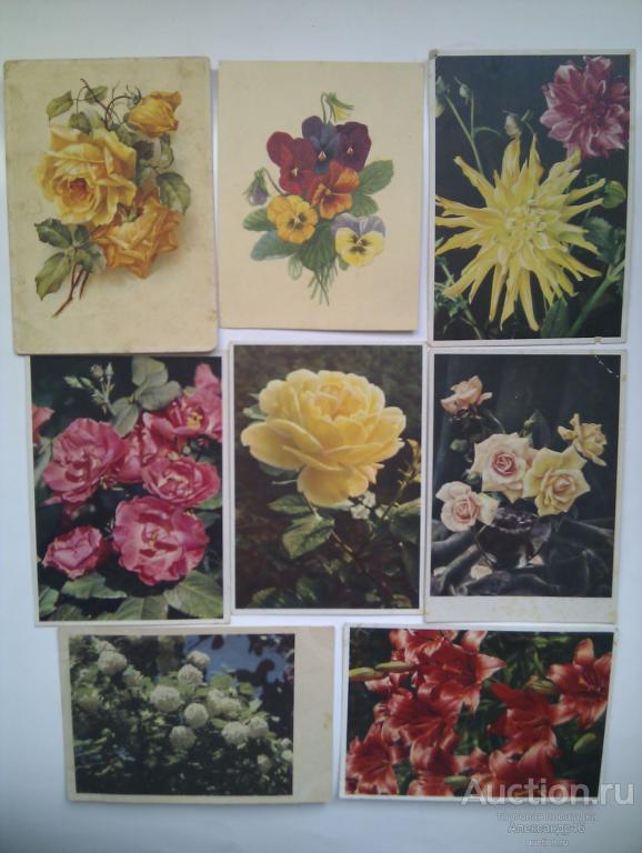 Цветы на иностранных открытках. 8 штук вместе. 1950-60 гг.