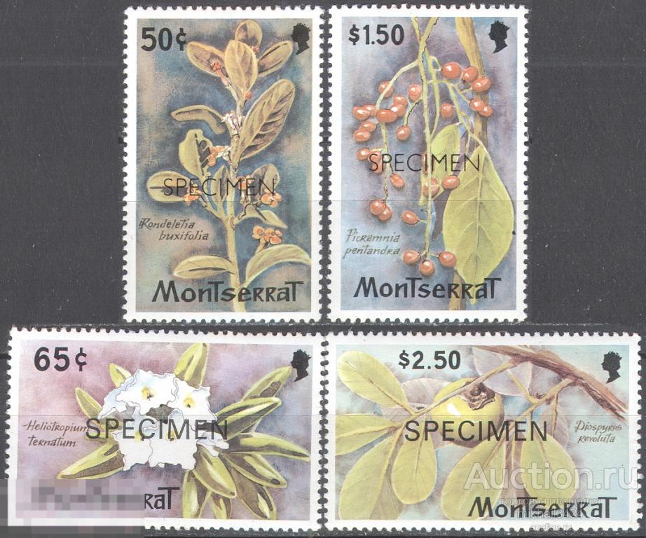 М0437 ✅ Флора Цветы Фрукты Ягоды SPECIMEN 1982 Монтсеррат 4м п/с **