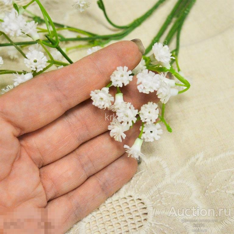 Гипсофилы Цена За Веточку