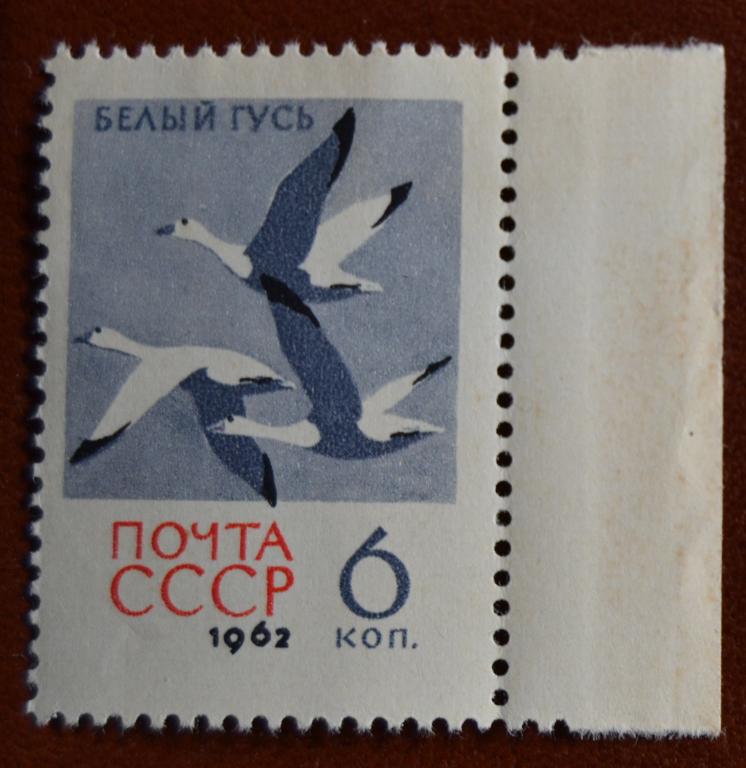 СССР 1962 г. Фауна Птицы Белый гусь  MNH