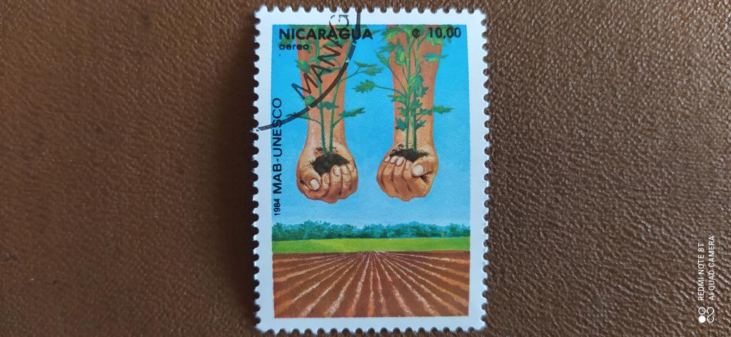 Марка Никарагуа, 1984, Сельское хозяйство, Саженцы