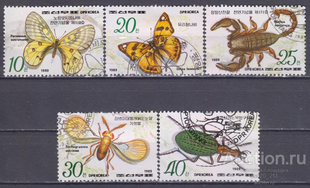 КНДР 1989 насекомые и паукообразные Mi3010,3012-3015