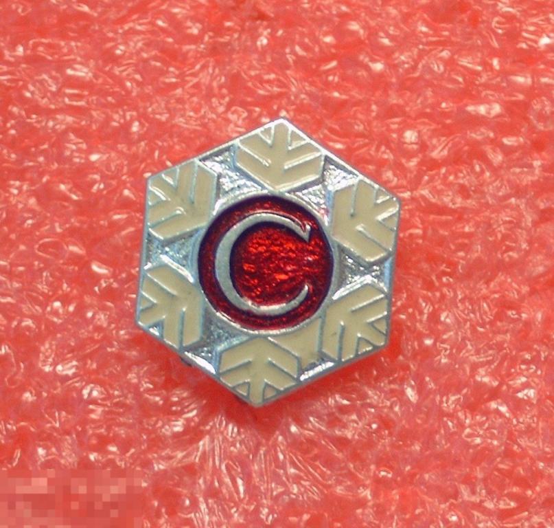 ДСО Спартак  Зимние виды спорта. Хоккей. Снежинка. 