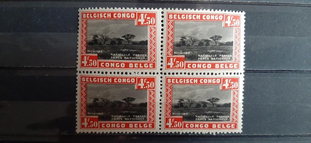 Бельгийское Конго Национальный парк Митумба саванна дерево горы природа 1937 кварт **