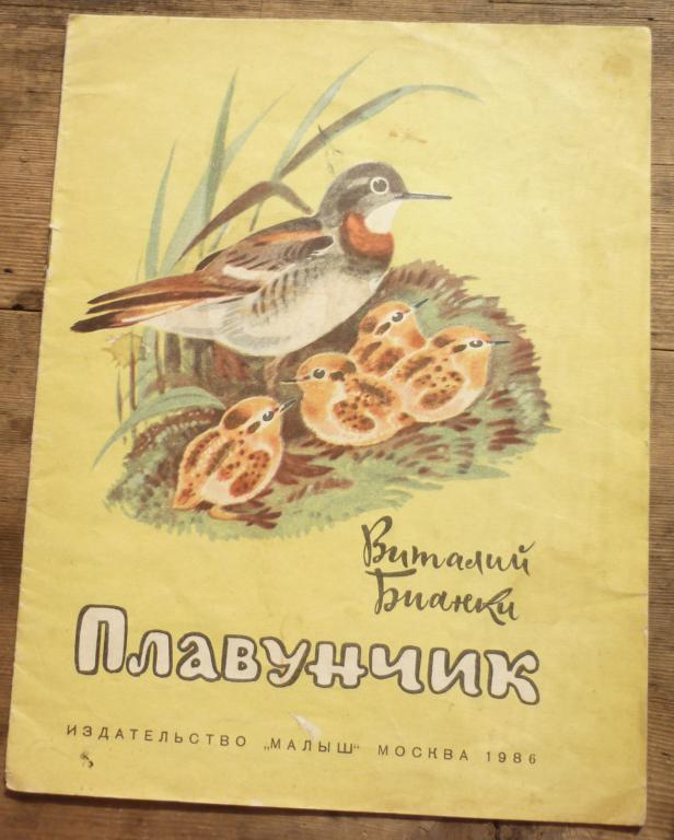 Бианки плавунчик рисунок