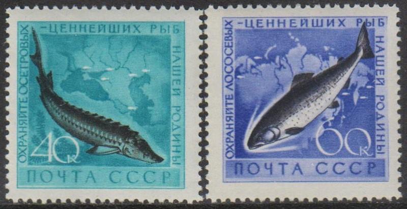 1959 г. МАРКИ СССР. Рыбы. MNH