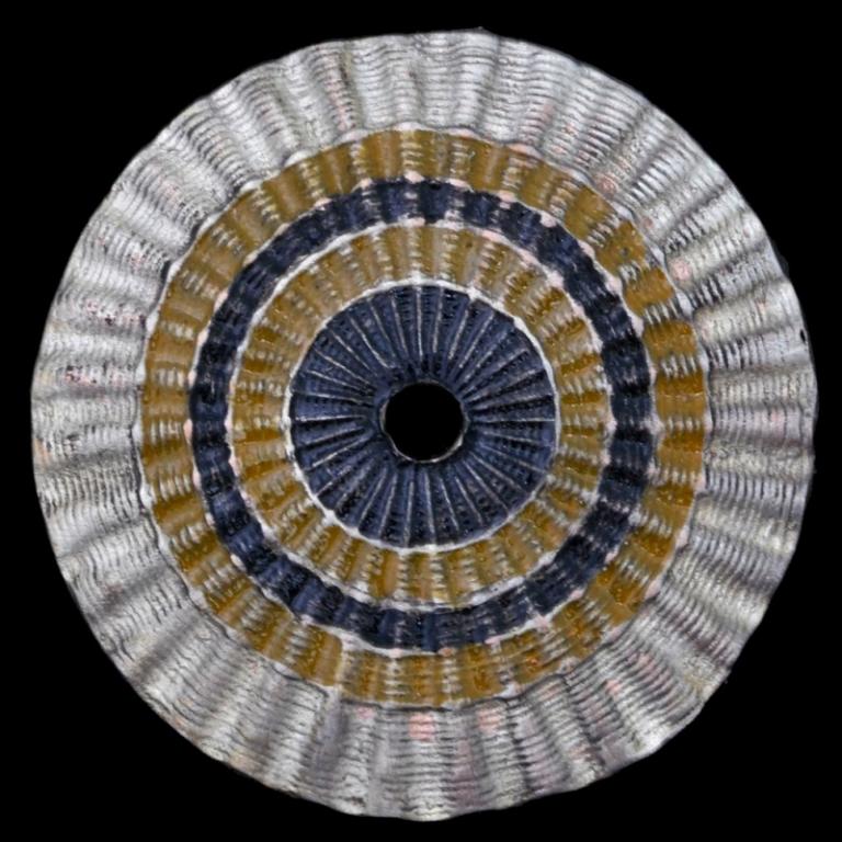 Розетка с русских головных уборов XIX века, копия (77933)