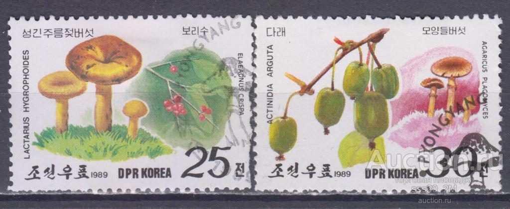 КНДР 1989 грибы и ягоды Mi3001,3002