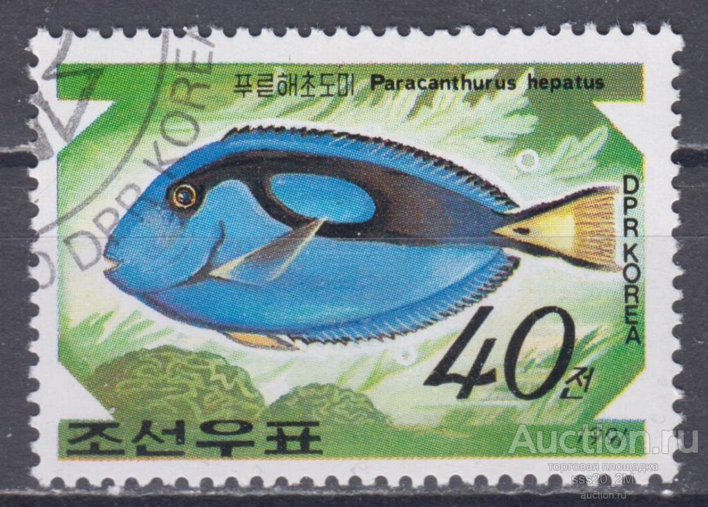 КНДР 1991 голубой хирург Mi3238