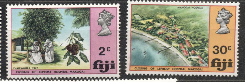 Фиджи  пара Флора медицина негашеная* (клей след наклейки)