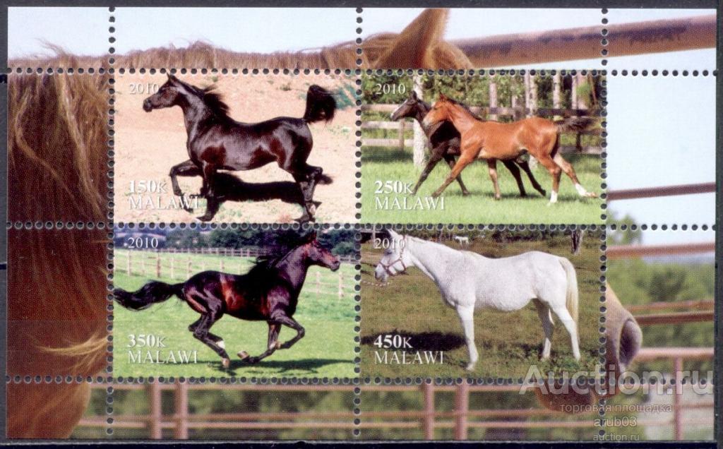 = Малави 2010 Фауна Животные Лошади Породы лошадей 1блок** |F1-27|​