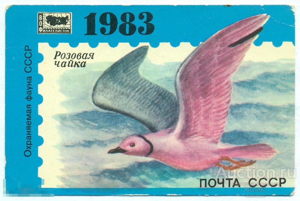 Как нарисовать розовую чайку