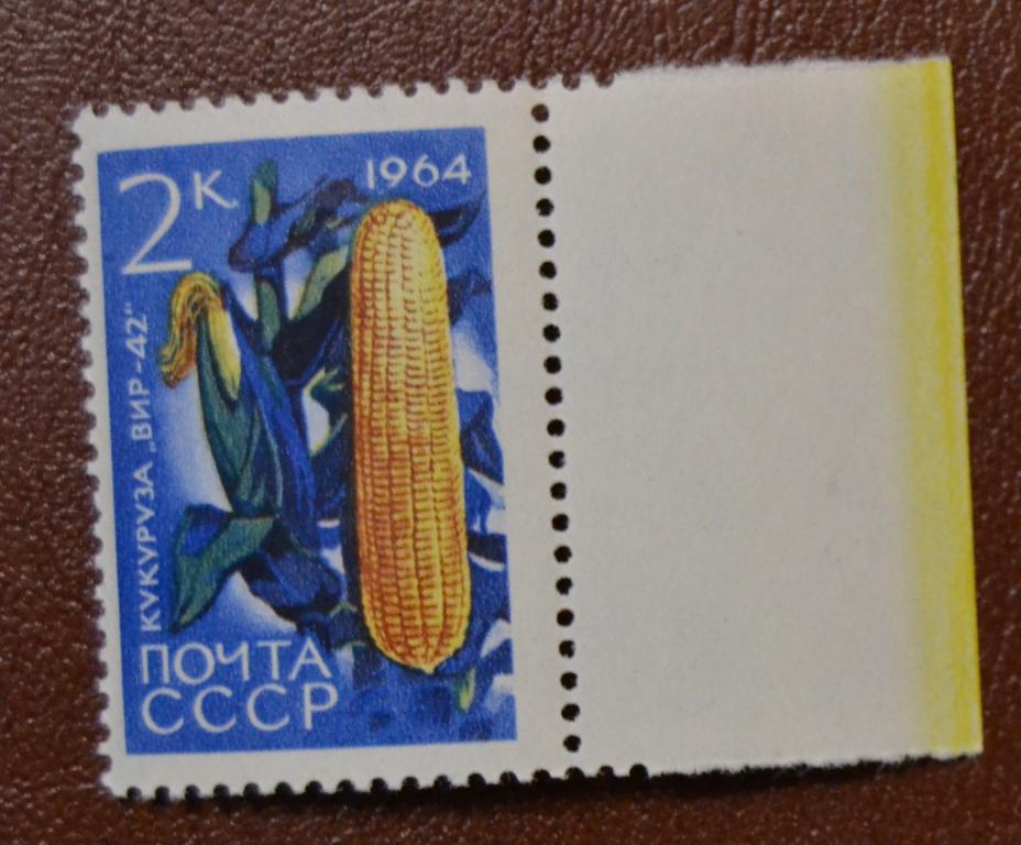 СССР 1964 год  Сельскохозяйственные культуры СССР, Кукуруза поле  MNH
