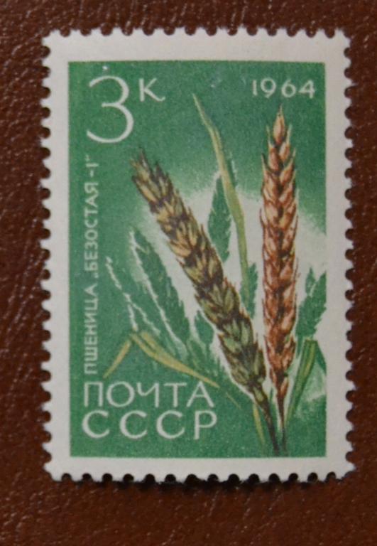 СССР 1964 год  Сельскохозяйственные культуры СССР, Пшеница  MNH