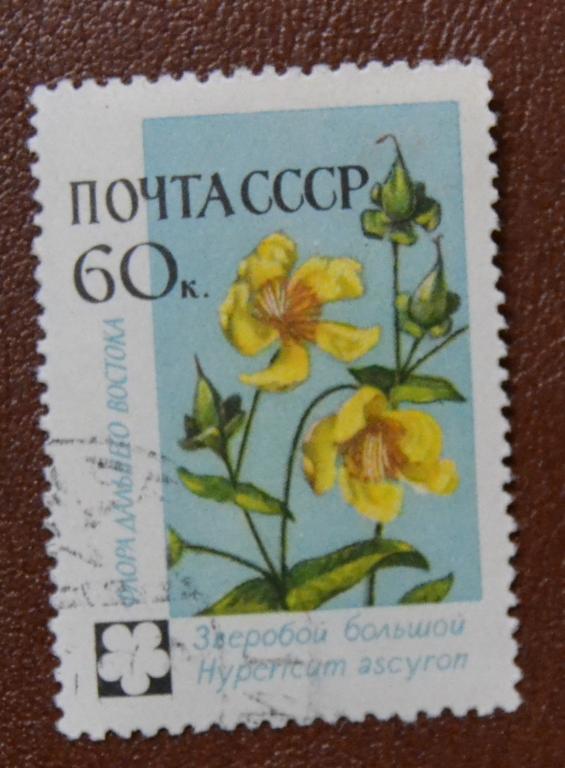 СССР 1960 год. Флора дальнего востока  Зверобой Гаш