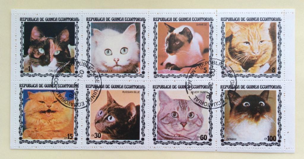 Лист Экваториальная Гвинея. Кошки. 1978