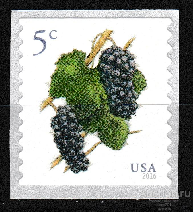 США 2016 Виноград Виноградная лоза Вино Виноделие Гастрономия Флора Стандарт 1м**
