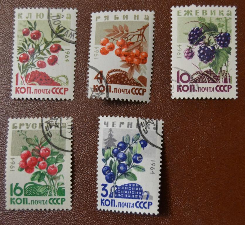 СССР 1964 год Флора Ягоды. Черника Брусника Ежевика Рябина Клюква Гаш