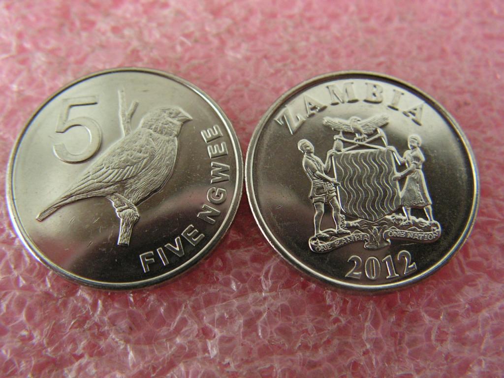 Замбия 5 нгвее 2012 unc