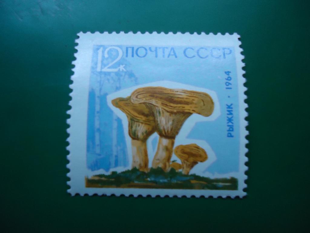 1964 г.  СССР  грибы  лак  MNH.
