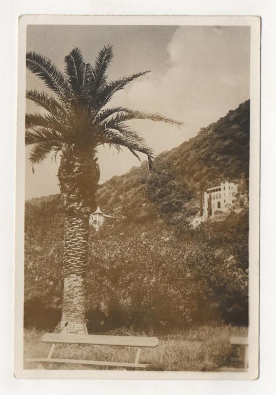 1933 г. ГАГРЫ. Вид в парке.