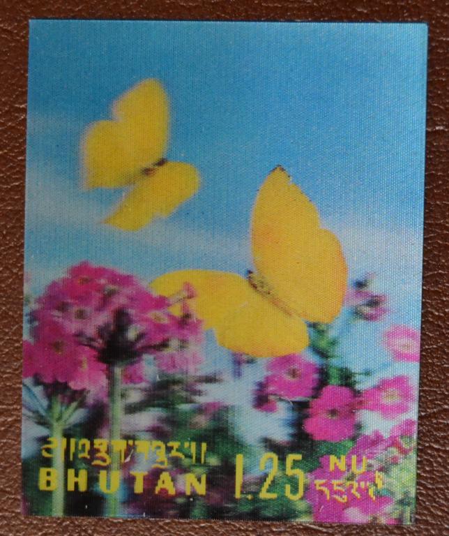Butterflies 1975