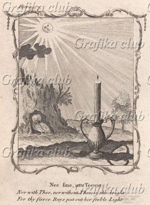 Свет солнца ярче мерцания свечи (из бестселлера