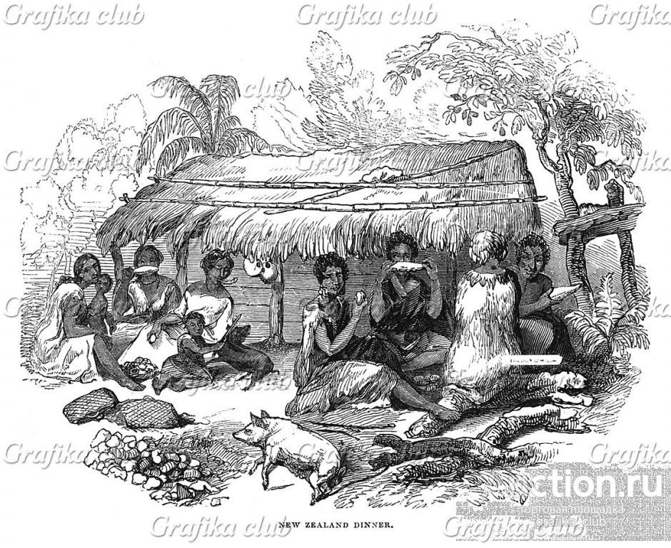 Коренное население Новой Зеландии — полинезийское