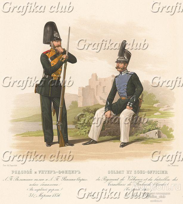 Рядовой и унтер-офицеры лейб-гвардии Волынского